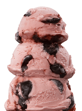 Handel’s Homemade Ice Cream photo 7