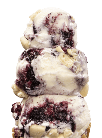 Handel’s Homemade Ice Cream photo 10