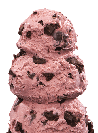 Handel’s Homemade Ice Cream photo 8