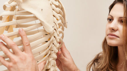 Hansen Chiropractic photo 6