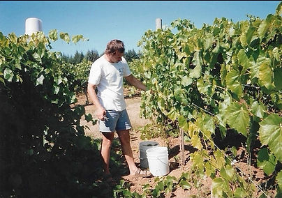 High Pass Winery photo 11
