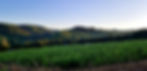 High Pass Winery photo 2