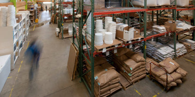 Hummingbird Wholesale photo 3
