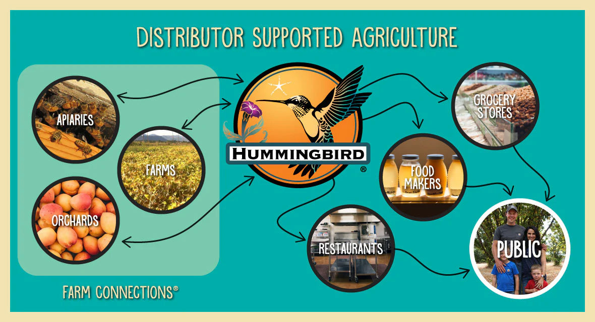 Hummingbird Wholesale photo 12
