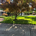 J&A Landscape Service LLC photo 7