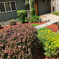 J&A Landscape Service LLC photo 6