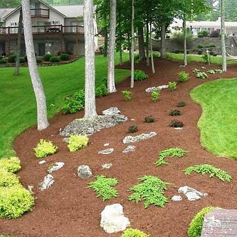 JB Landscape Maintenances photo 4