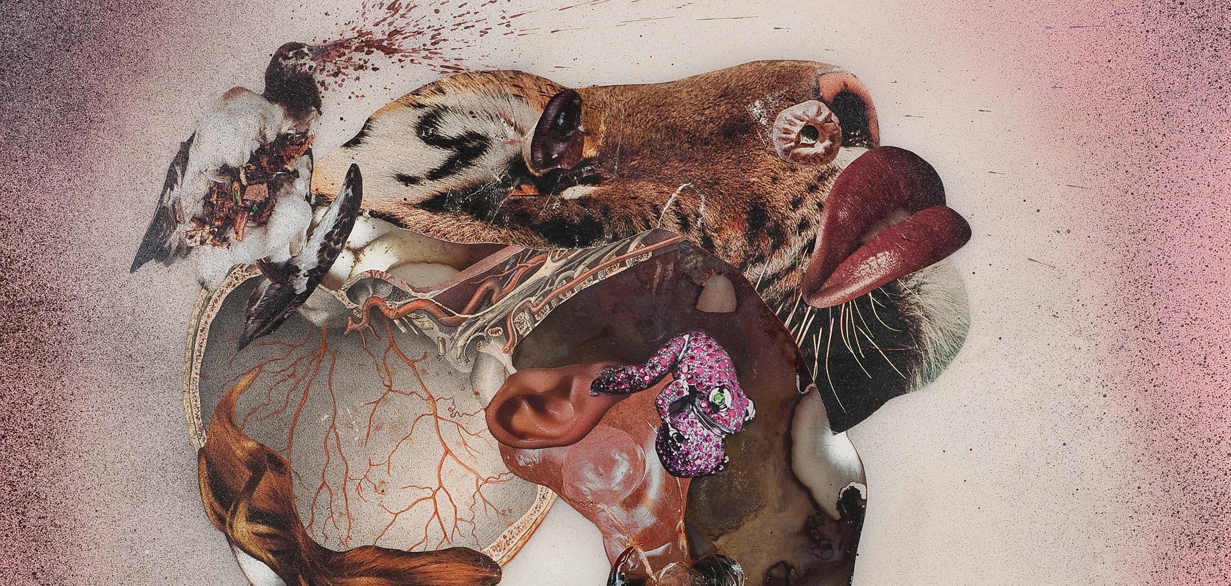 Jordan Schnitzer Museum of Art photo 6