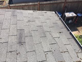Klaus Roofing Systems of Oregon photo 8