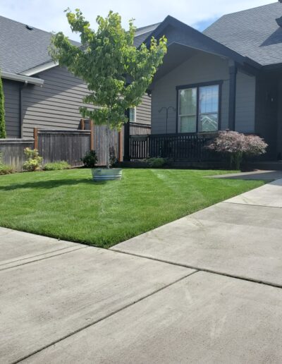L&A Landscape LLC photo 7