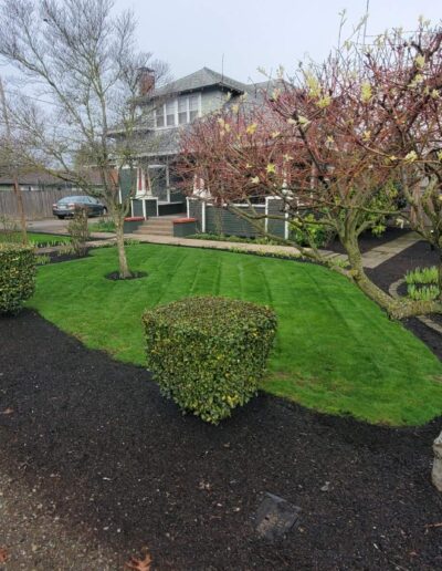 L&A Landscape LLC photo 8