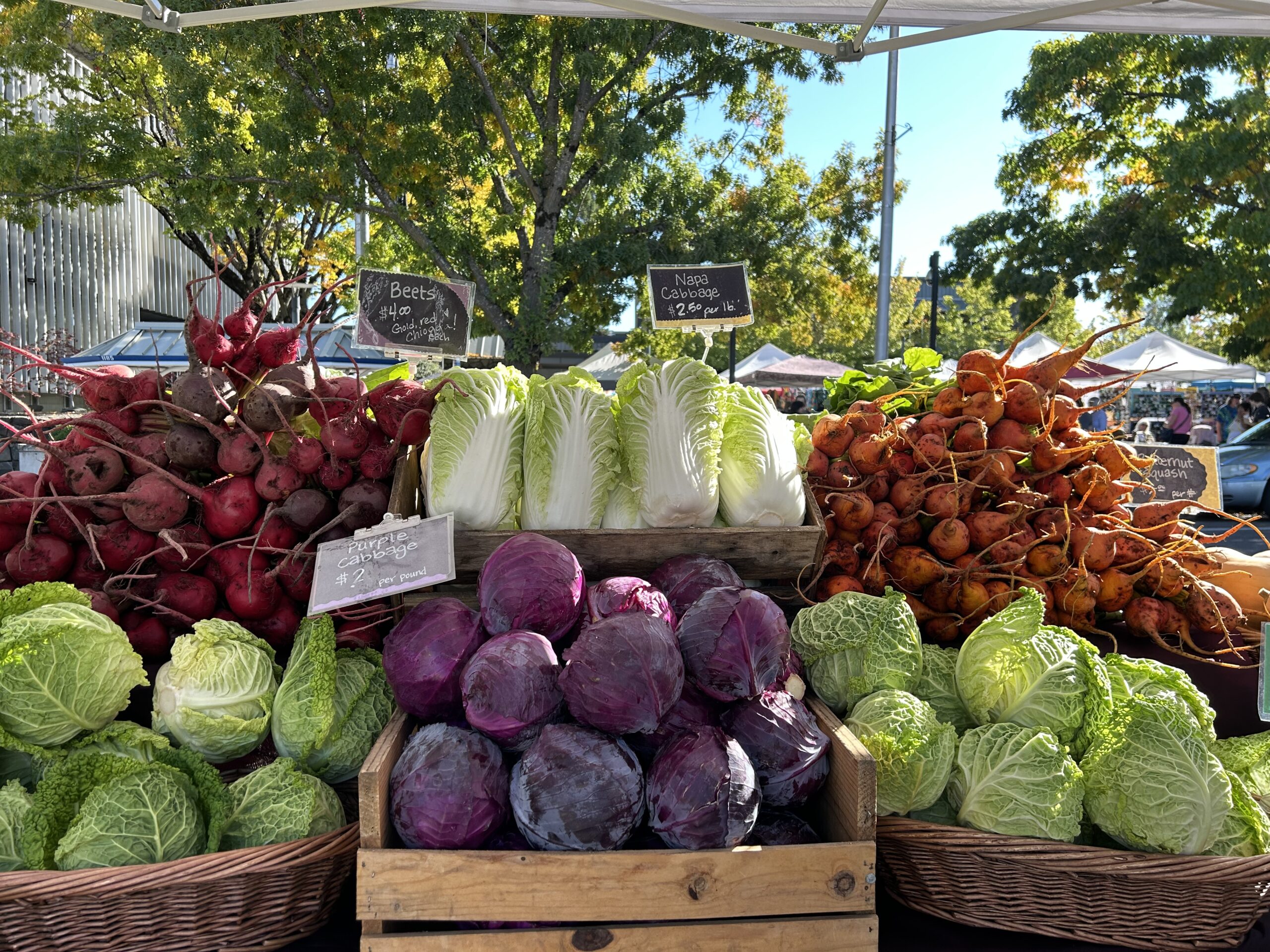 Lane County Farmers Market photo 5