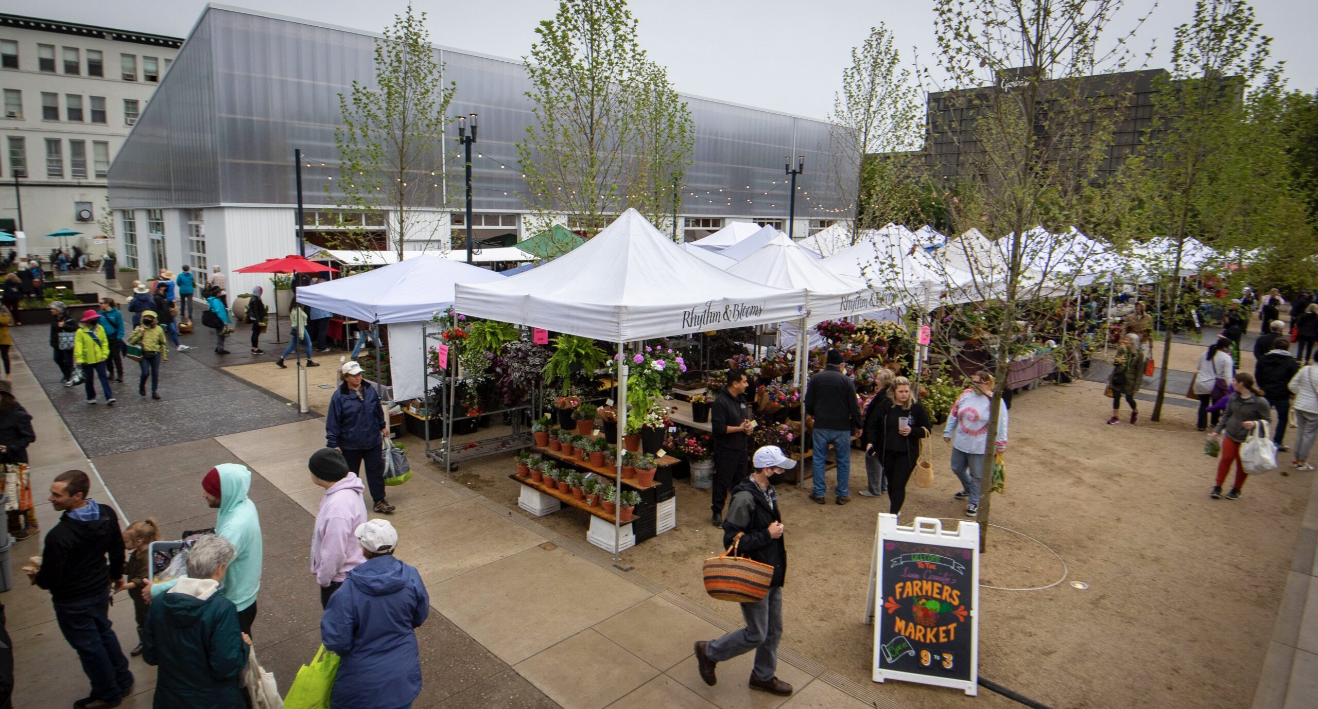 Lane County Farmers Market photo 2