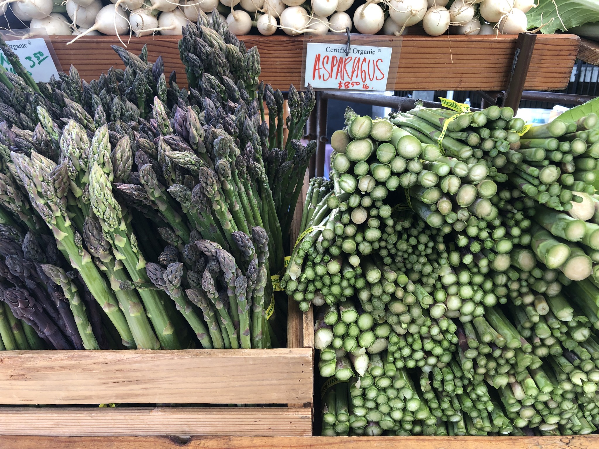 Lane County Farmers Market photo 7