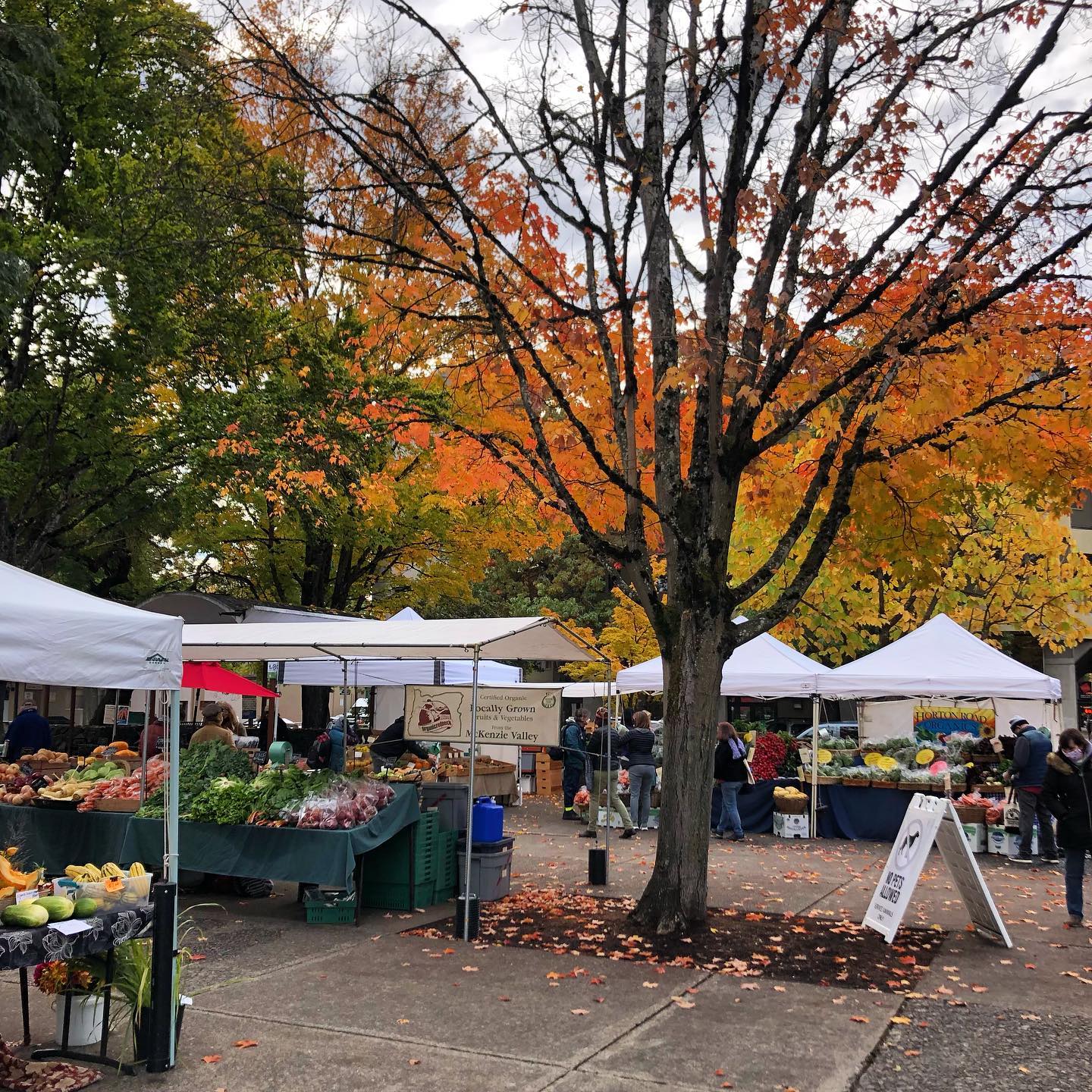 Lane County Farmers Market photo 9