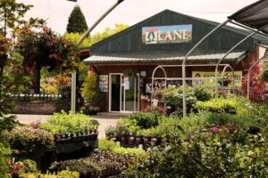 Lane Forest Products, Inc. photo