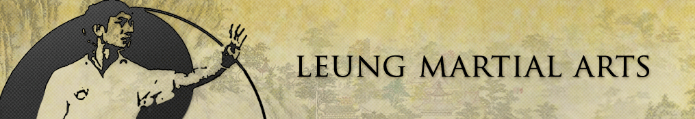 Leung Martial Arts photo