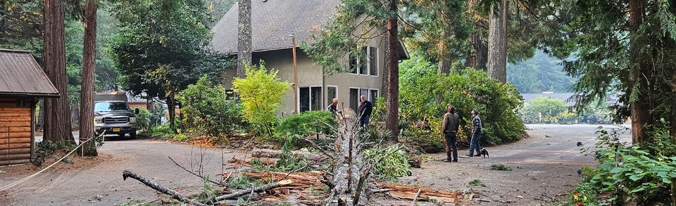 LJ Tree Care LLC photo 6