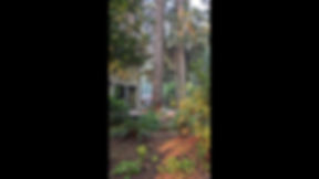 LJ Tree Care LLC photo 1