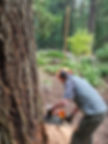 LJ Tree Care LLC photo 4