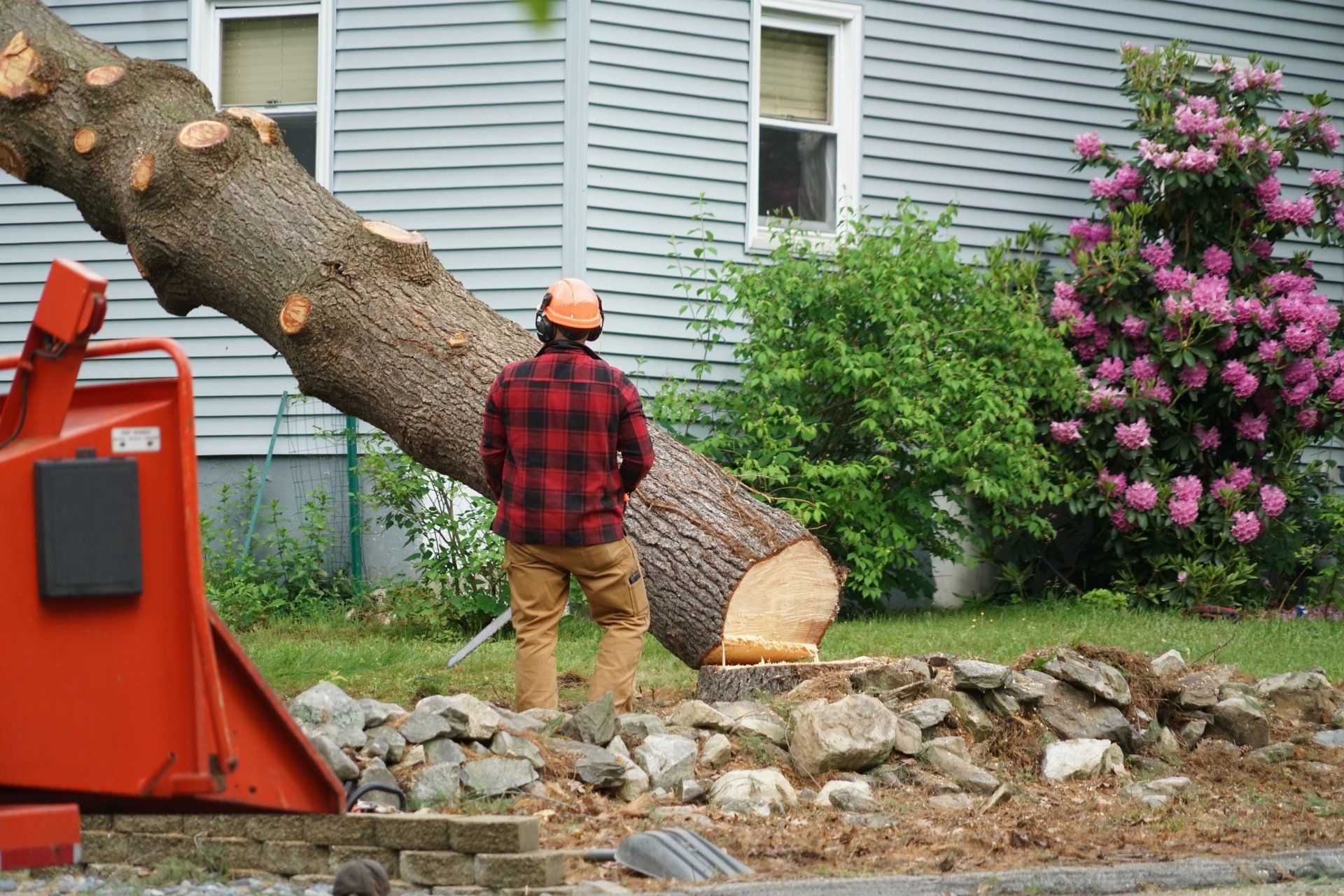 Lutz Tree Service photo 5