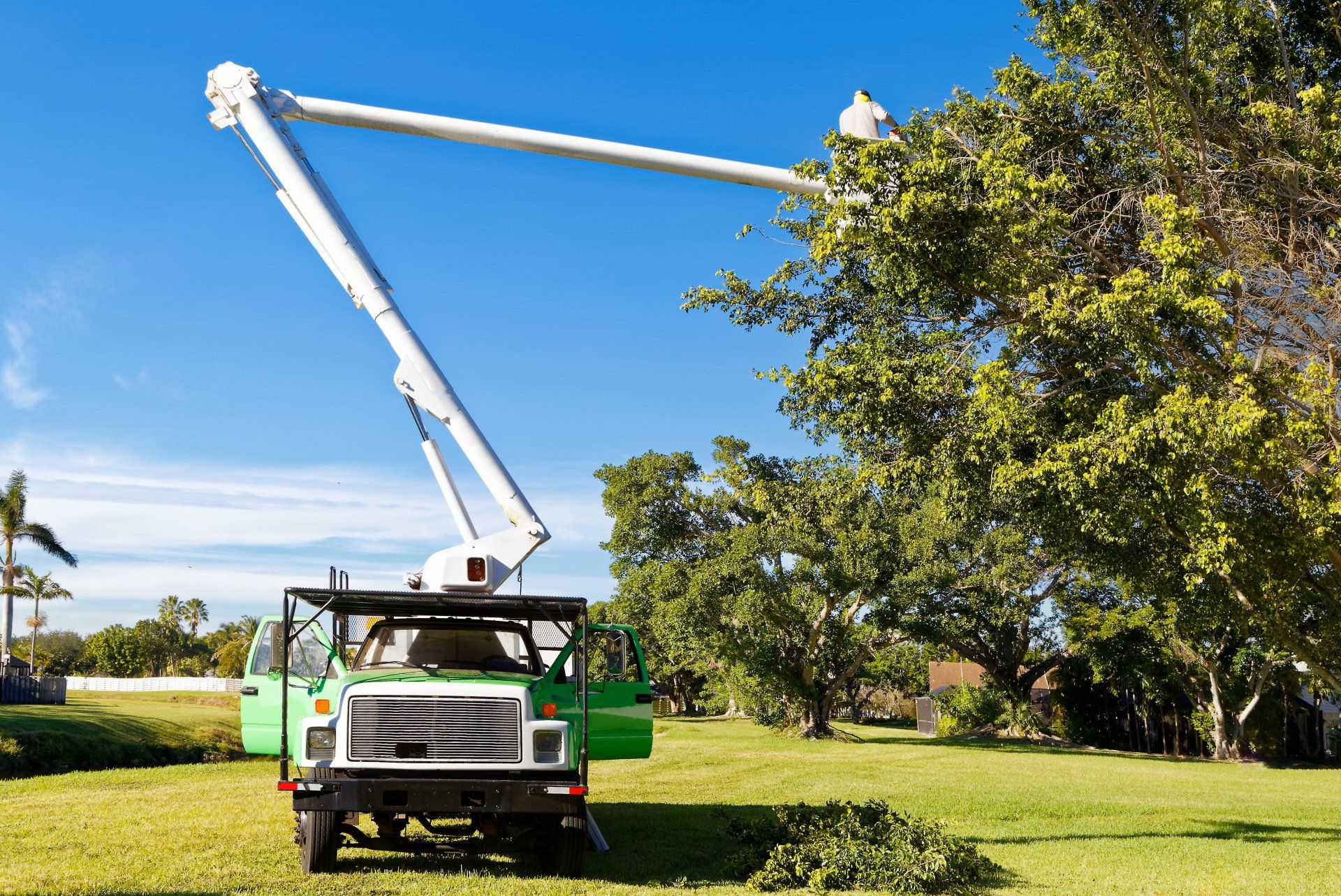 Lutz Tree Service photo 3