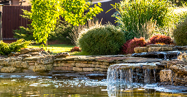 Mason Prociw Landscape photo 6