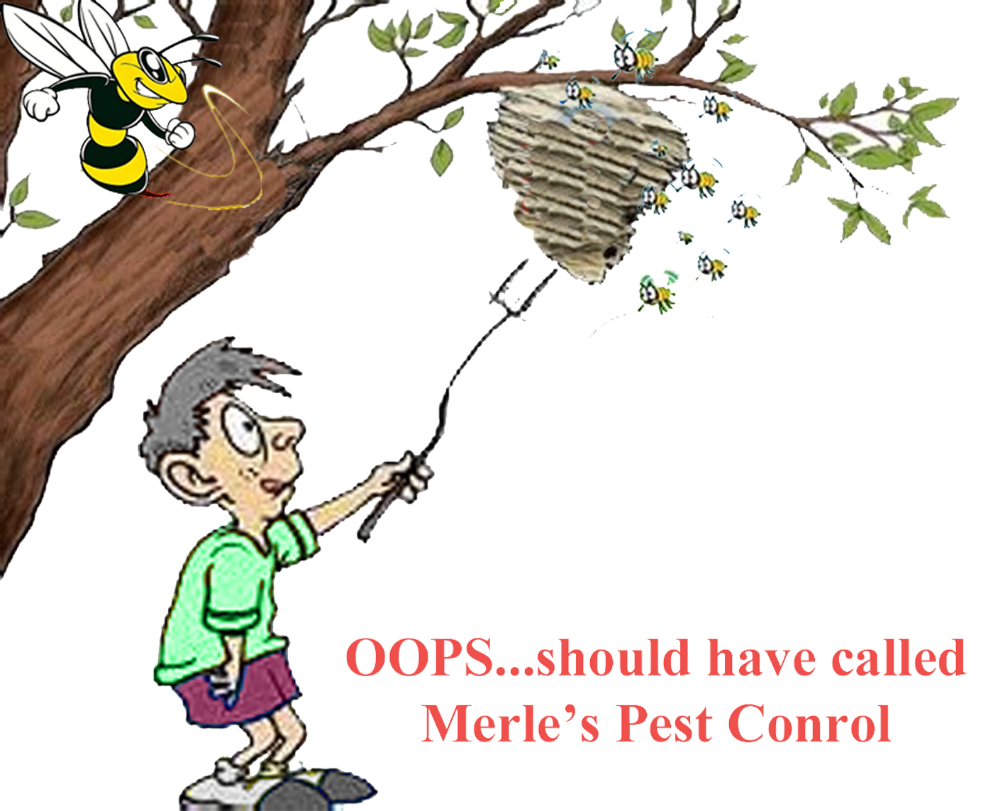 Merle’s Pest Control Service Eugene photo 11