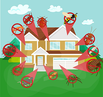 Merle’s Pest Control Service Eugene photo 6