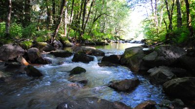 Middle Fork Willamette Watershed Council photo 8