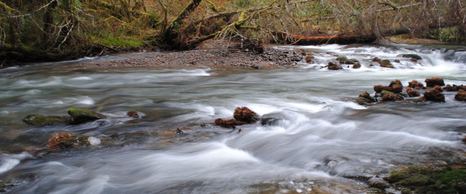 Middle Fork Willamette Watershed Council photo 2
