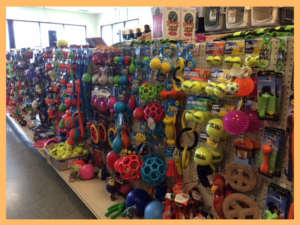 Mini Pet Mart photo 10