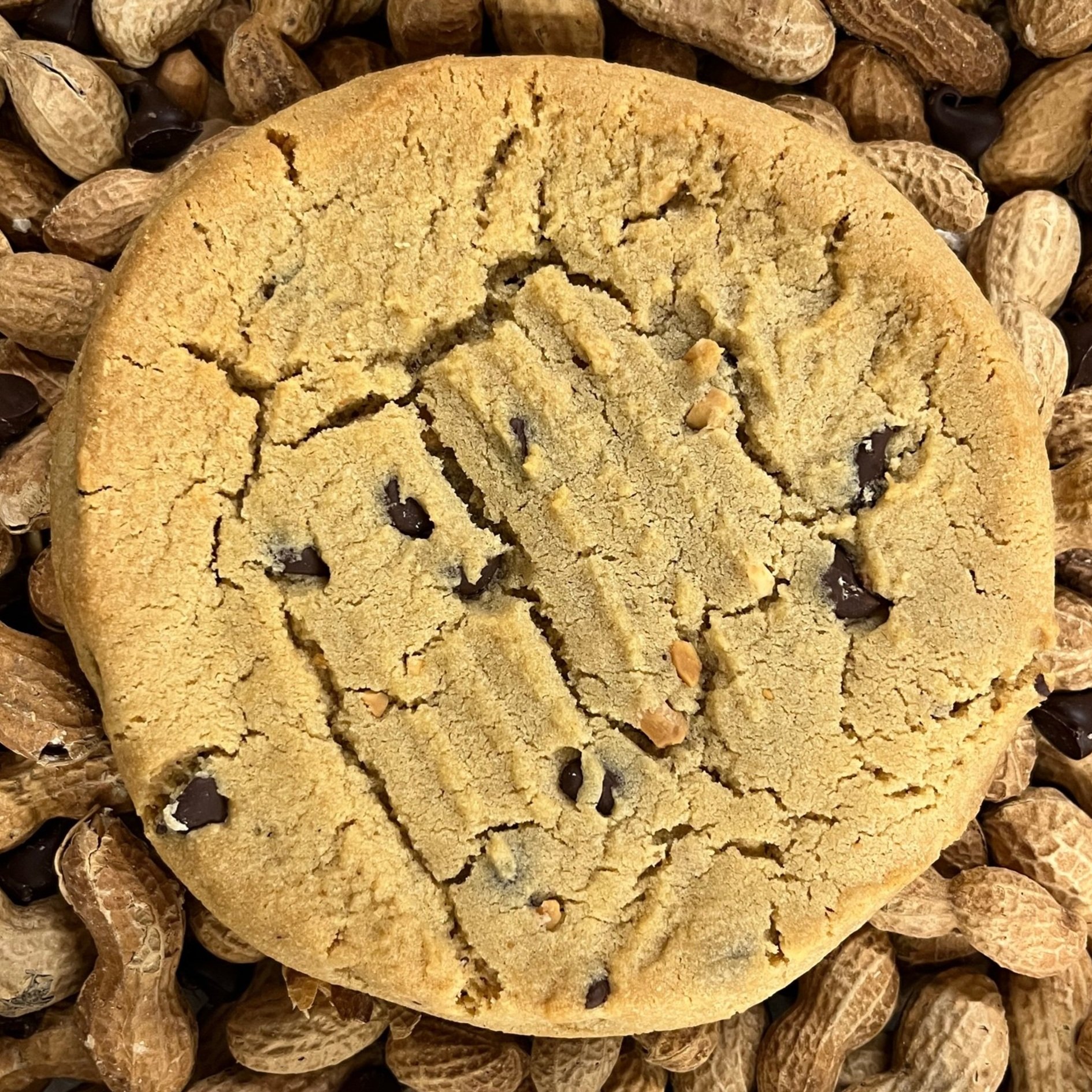 Monster Cookie photo 10