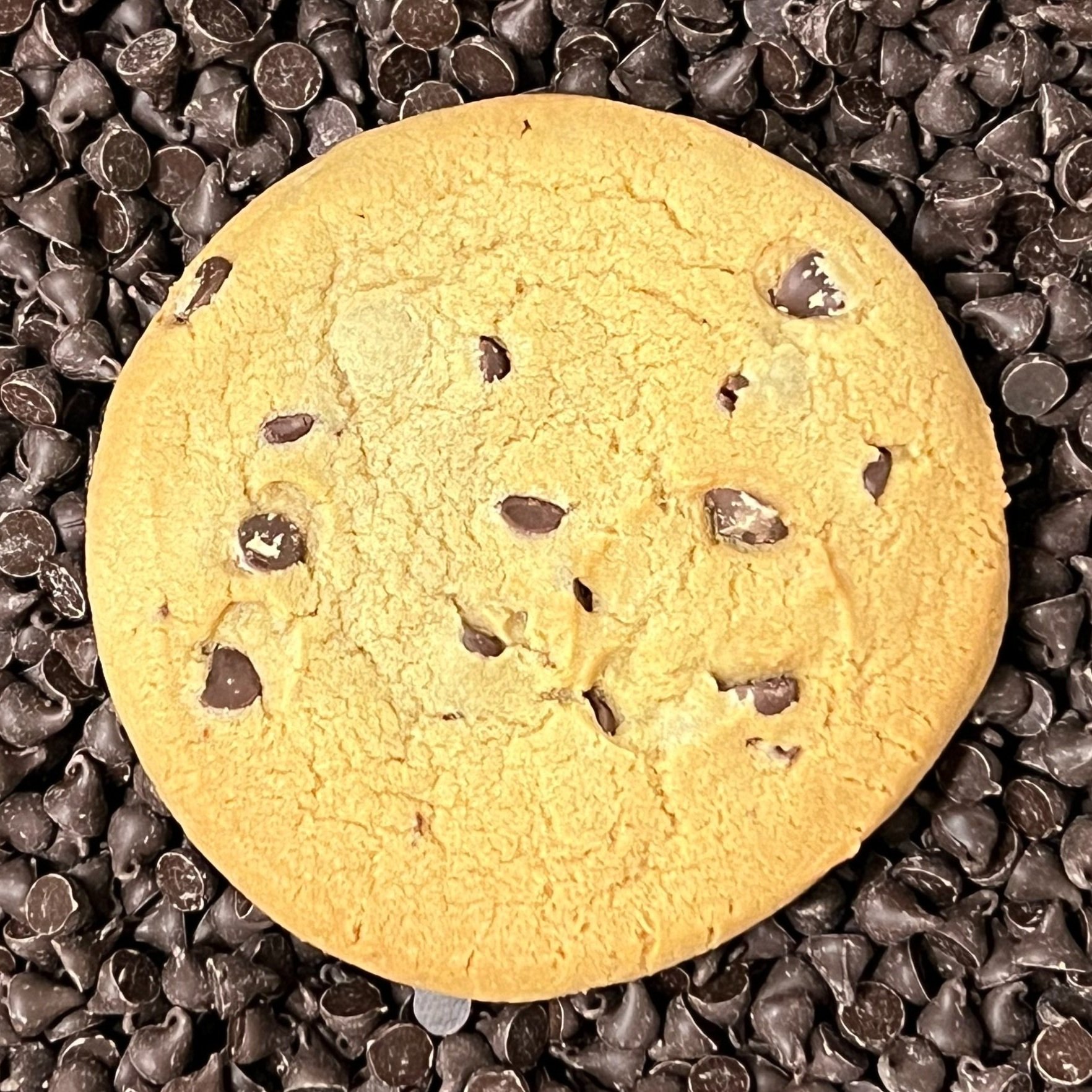 Monster Cookie photo 11