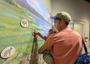 Museum of Natural and Cultural History photo 11