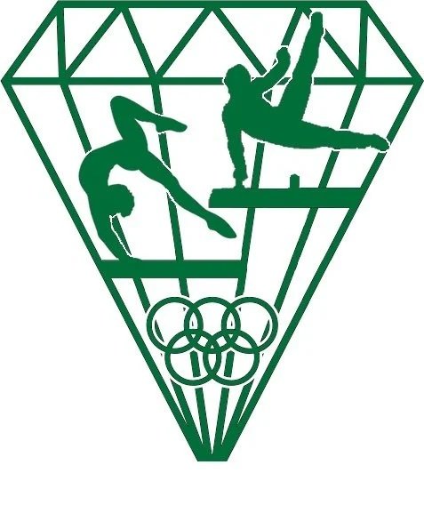 National Academy of Artistic Gymnastics photo 9