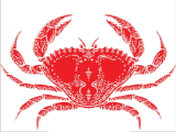 Novelli’s Crab and Seafood photo