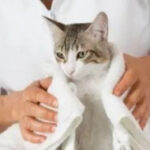 Oak Ridge Animal Center photo 6