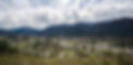 Oakridge Air photo 2