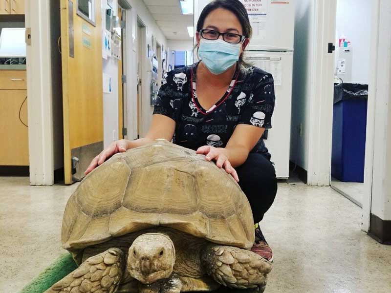 Oakridge Animal Clinic photo 8