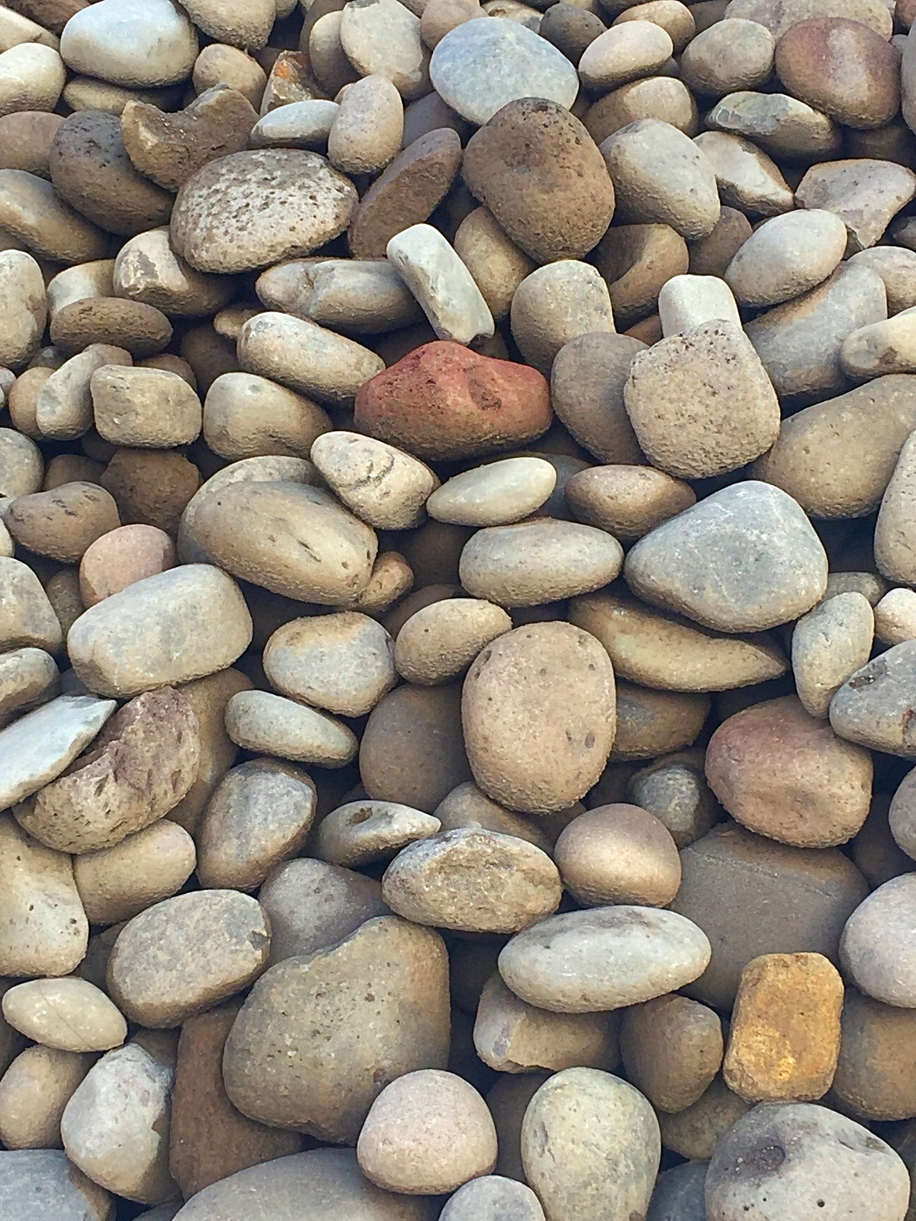Oakridge Sand & Gravel Inc. photo 7