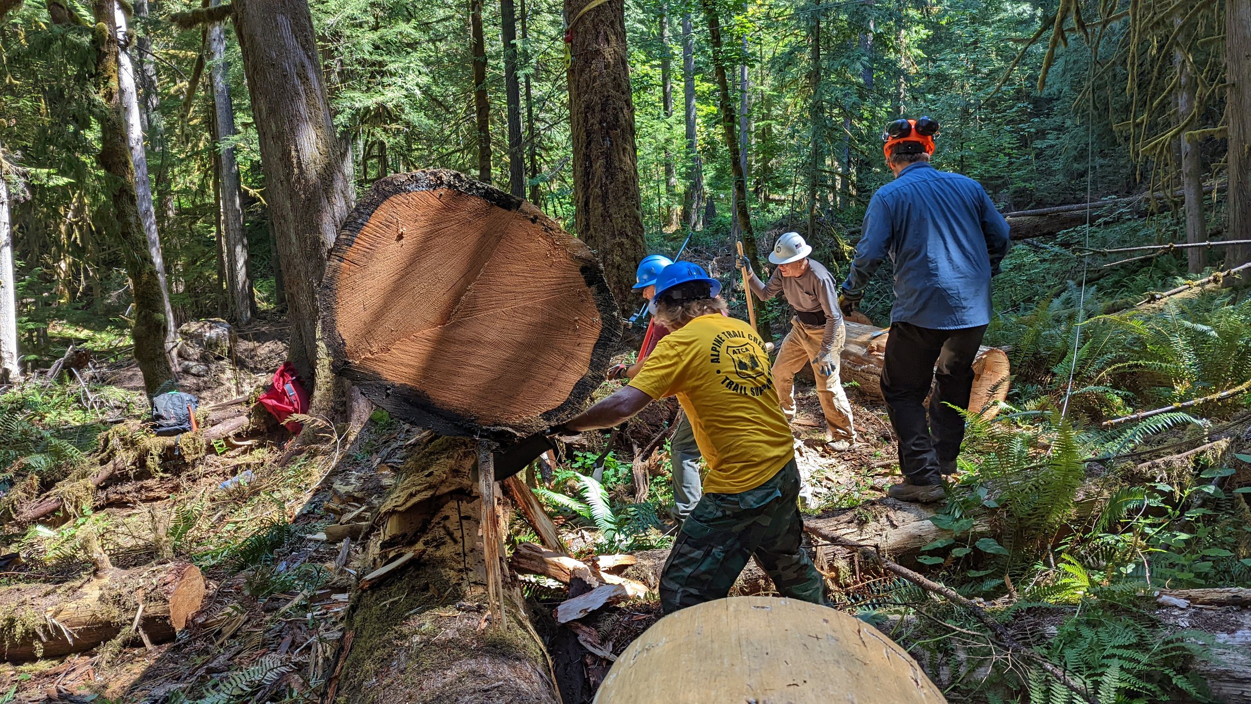 Oakridge Trails Alliance photo 3