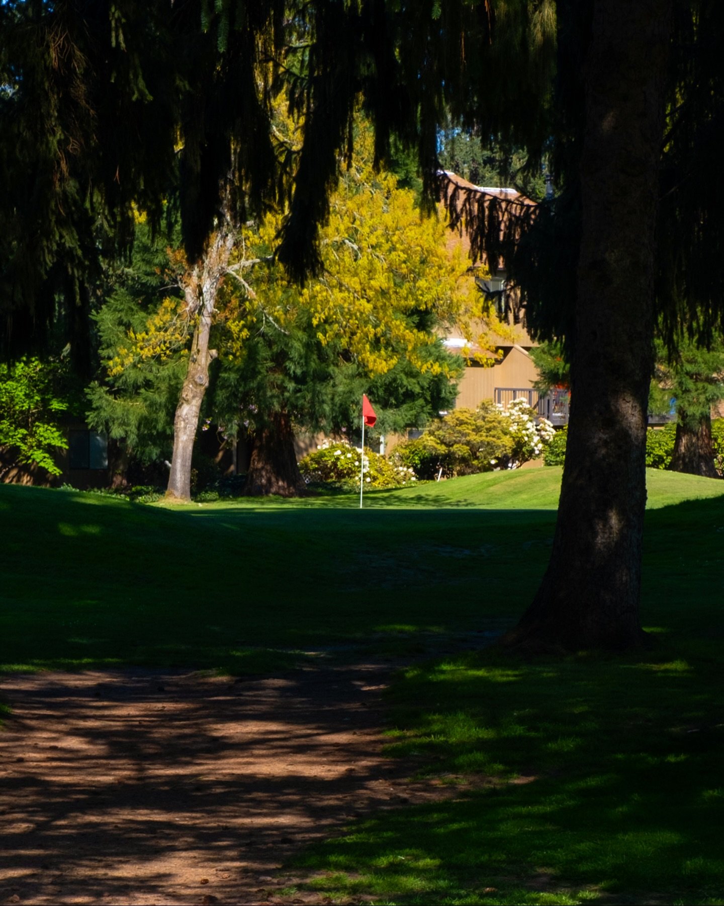 Oakway Golf Course photo 6