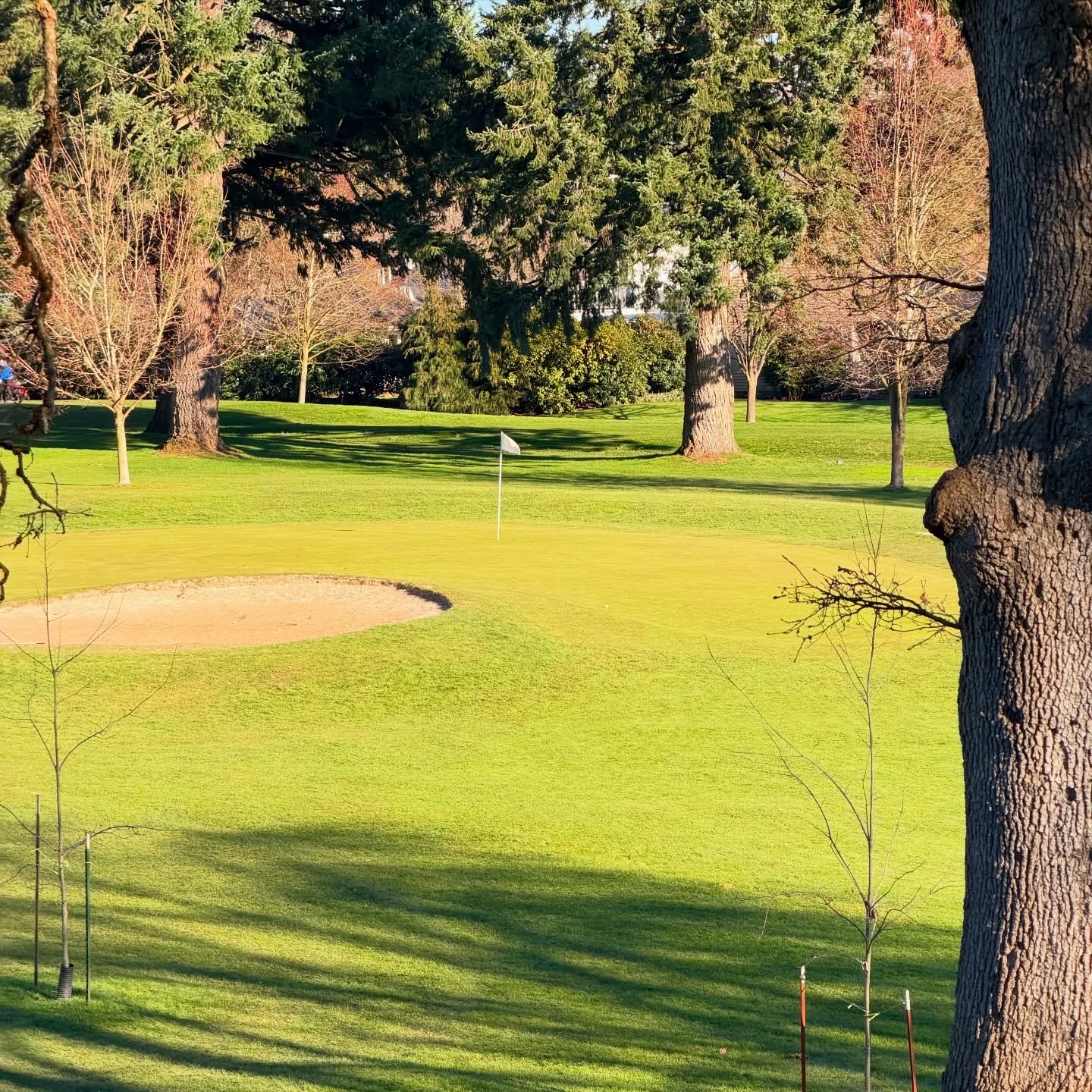 Oakway Golf Course photo 3