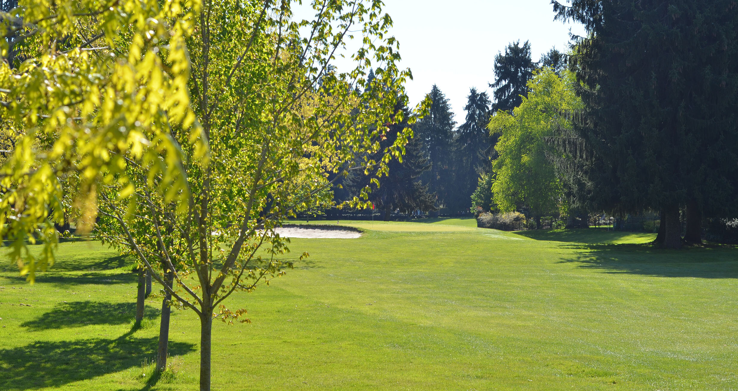 Oakway Golf Course photo 2