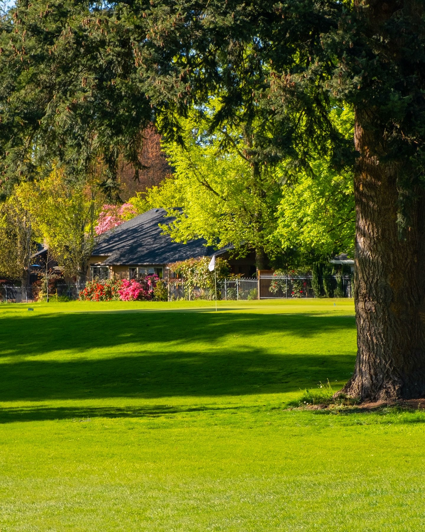 Oakway Golf Course photo 5