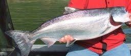 Oregon Fishing Rod Reel And Tackle photo