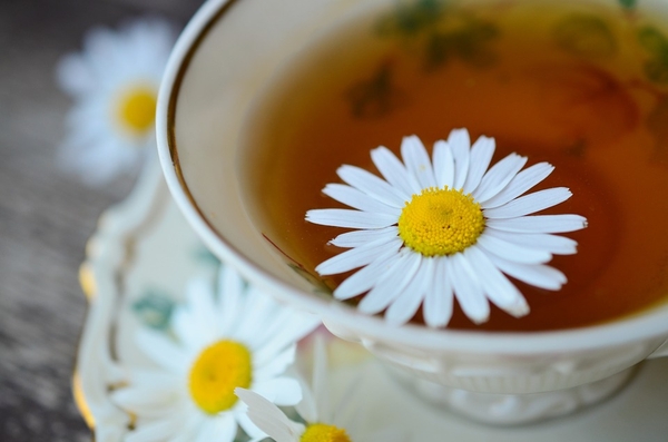 Oregon Naturopathic Clinic photo 3