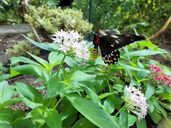 Oregon Naturopathic Clinic photo 5