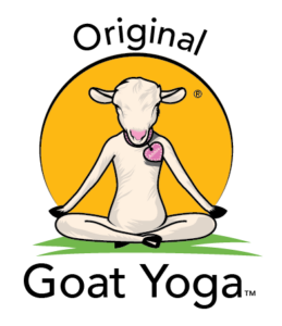 Original Goat Yoga photo
